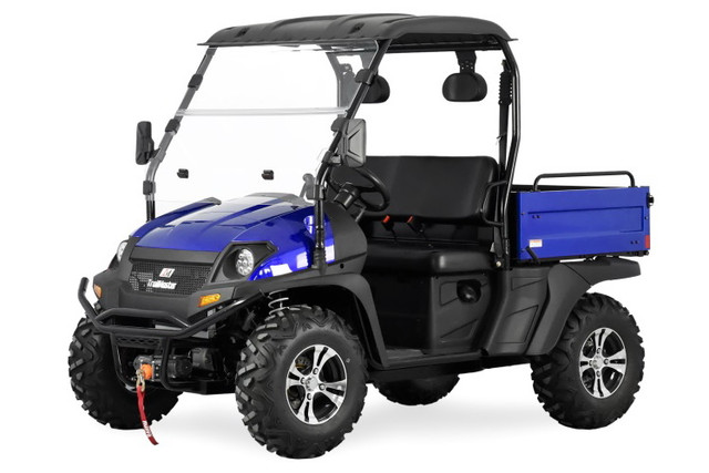 TrailMaster Taurus 4x4 EFI side-by-side